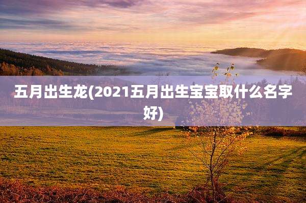 五月出生龙(2021五月出生宝宝取什么名字好)