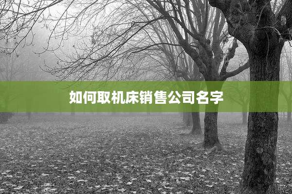 如何取机床销售公司名字