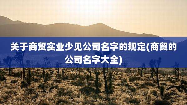 关于商贸实业少见公司名字的规定(商贸的公司名字大全)