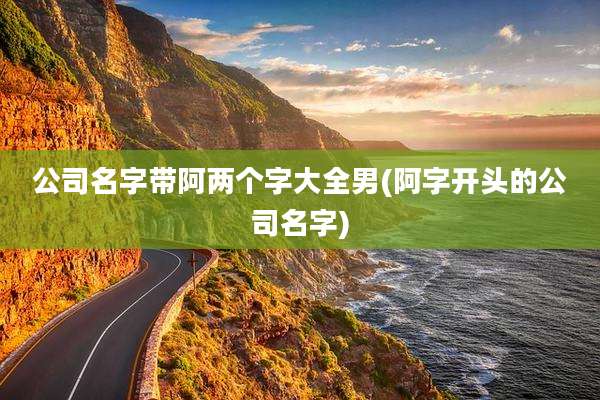 公司名字带阿两个字大全男(阿字开头的公司名字)
