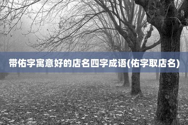 带佑字寓意好的店名四字成语(佑字取店名)