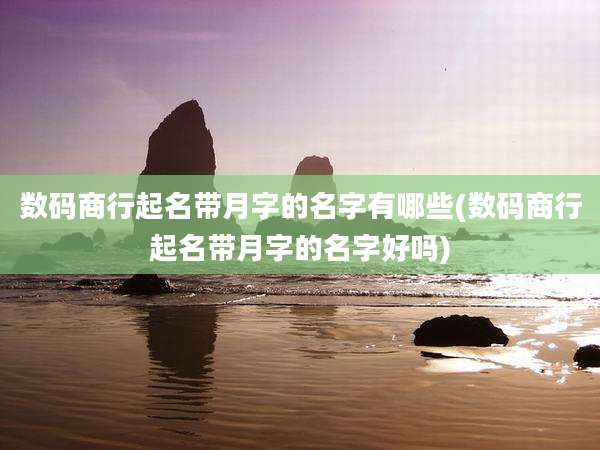 数码商行起名带月字的名字有哪些(数码商行起名带月字的名字好吗)