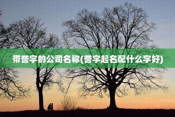 带誉字的公司名称(誉字起名配什么字好)