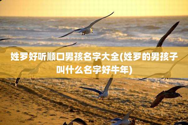 姓罗好听顺口男孩名字大全(姓罗的男孩子叫什么名字好牛年)