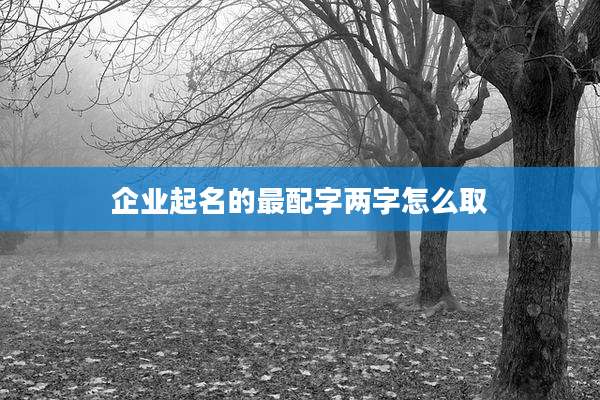 企业起名的最配字两字怎么取