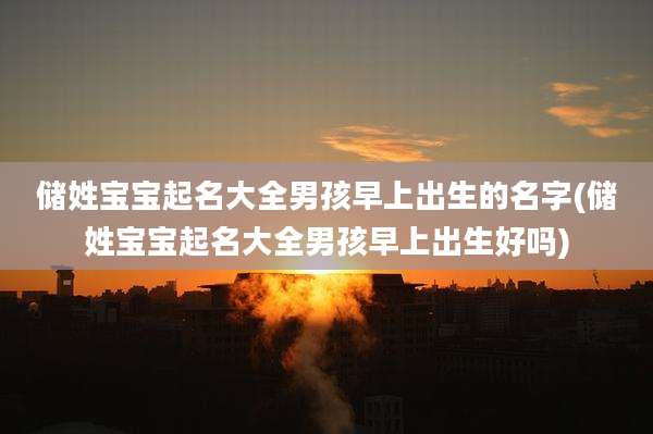储姓宝宝起名大全男孩早上出生的名字(储姓宝宝起名大全男孩早上出生好吗)