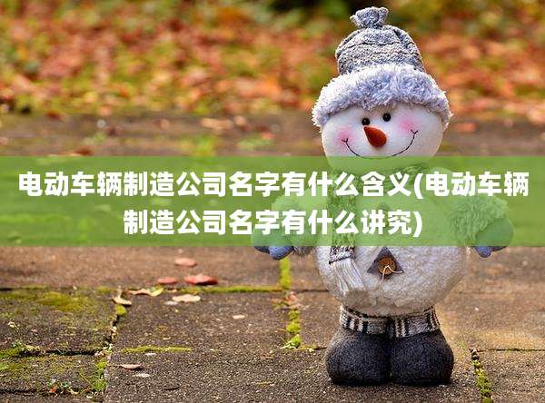 电动车辆制造公司名字有什么含义(电动车辆制造公司名字有什么讲究)