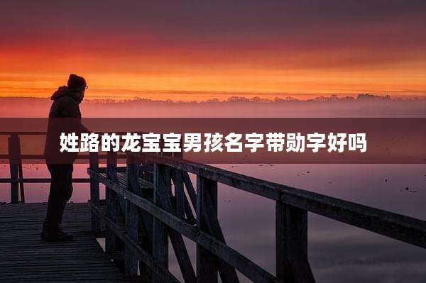 姓路的龙宝宝男孩名字带勋字好吗