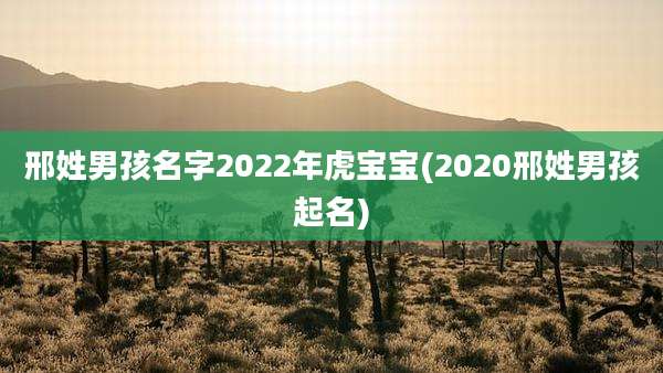 邢姓男孩名字2022年虎宝宝(2020邢姓男孩起名)