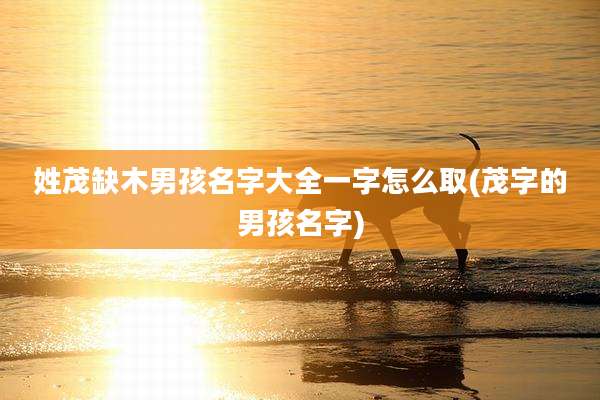 姓茂缺木男孩名字大全一字怎么取(茂字的男孩名字)