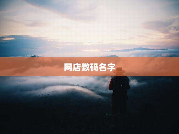 网店数码名字