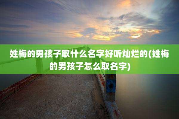 姓梅的男孩子取什么名字好听灿烂的(姓梅的男孩子怎么取名字)