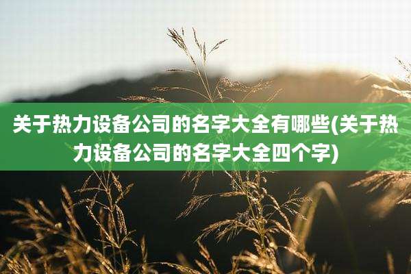 关于热力设备公司的名字大全有哪些(关于热力设备公司的名字大全四个字)