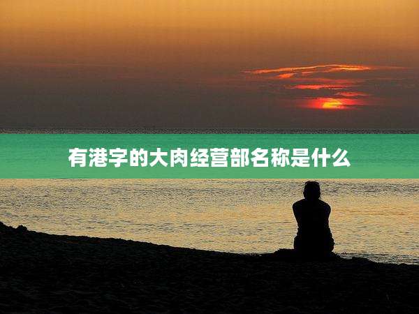 有港字的大肉经营部名称是什么