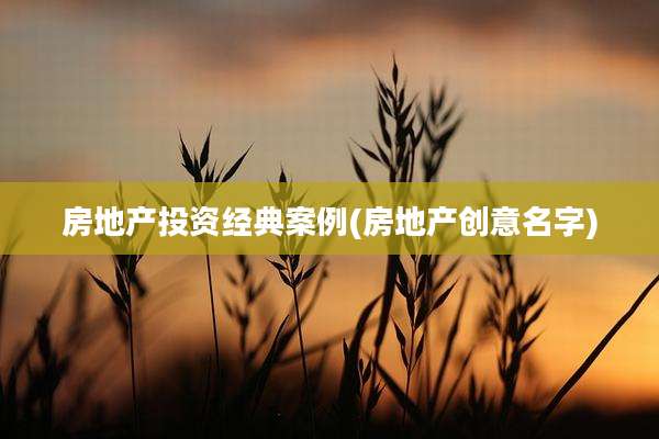 房地产投资经典案例(房地产创意名字)
