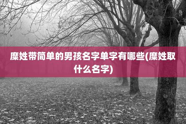 糜姓带简单的男孩名字单字有哪些(糜姓取什么名字)