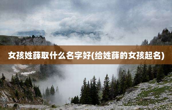 女孩姓薛取什么名字好(给姓薛的女孩起名)