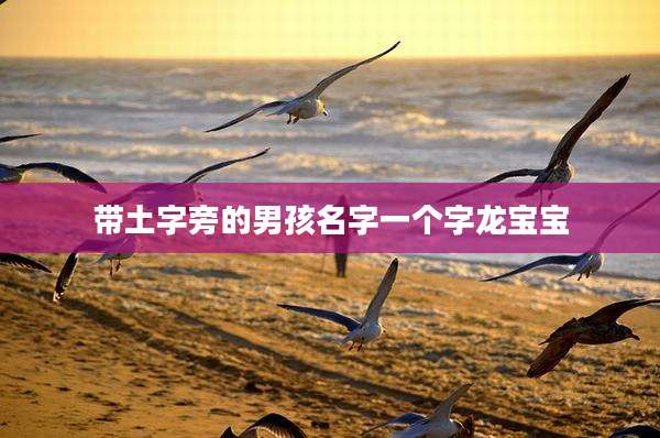 带土字旁的男孩名字一个字龙宝宝