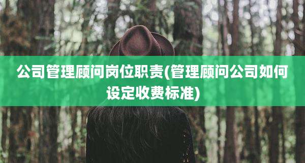 公司管理顾问岗位职责(管理顾问公司如何设定收费标准)