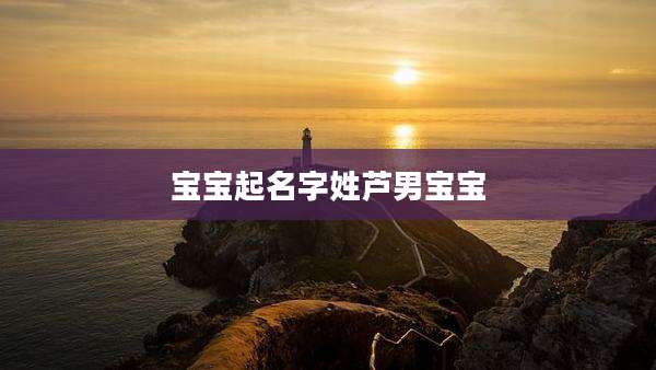 宝宝起名字姓芦男宝宝
