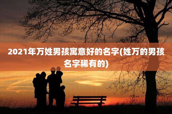 2021年万姓男孩寓意好的名字(姓万的男孩名字稀有的)