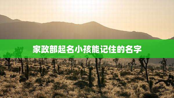 家政部起名小孩能记住的名字