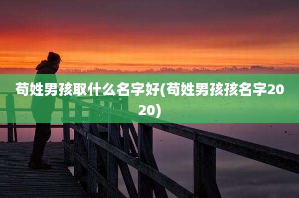 苟姓男孩取什么名字好(苟姓男孩孩名字2020)