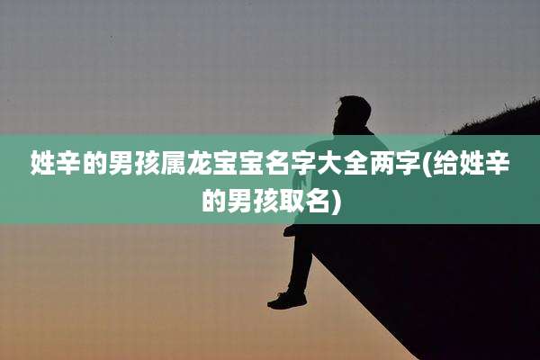 姓辛的男孩属龙宝宝名字大全两字(给姓辛的男孩取名)