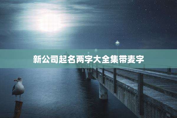 新公司起名两字大全集带麦字