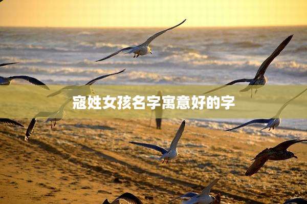 寇姓女孩名字寓意好的字