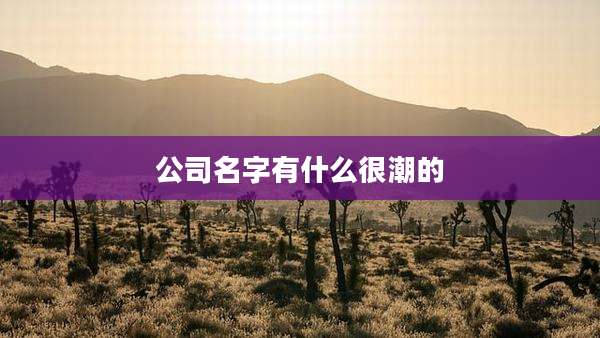 公司名字有什么很潮的