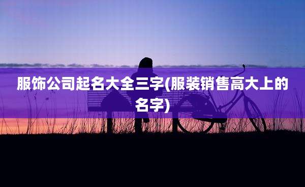 服饰公司起名大全三字(服装销售高大上的名字)