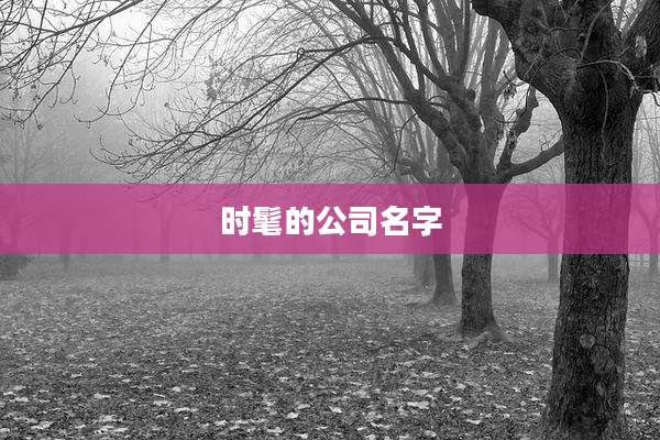 时髦的公司名字