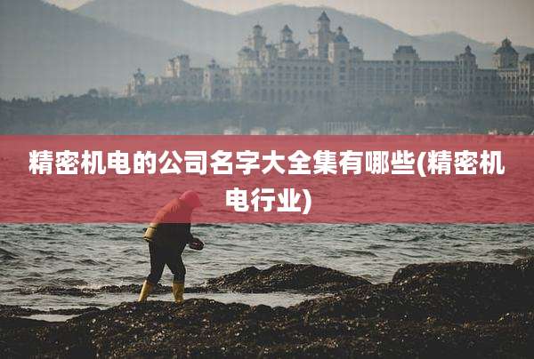精密机电的公司名字大全集有哪些(精密机电行业)