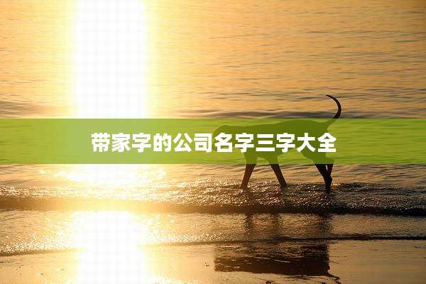 带家字的公司名字三字大全