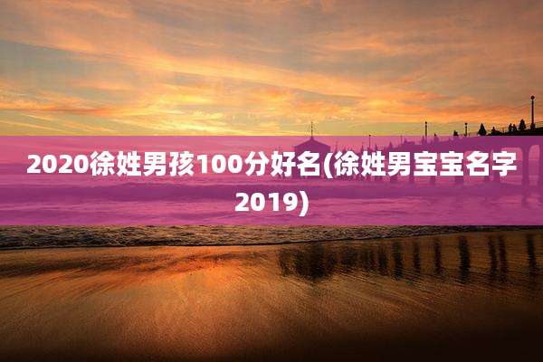 2020徐姓男孩100分好名(徐姓男宝宝名字2019)