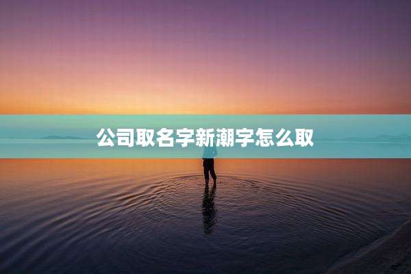 公司取名字新潮字怎么取