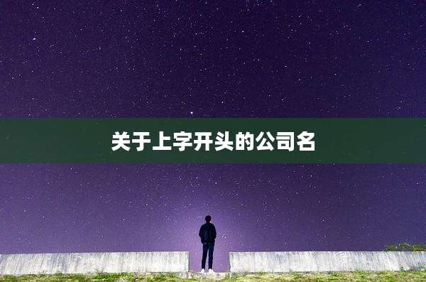 关于上字开头的公司名