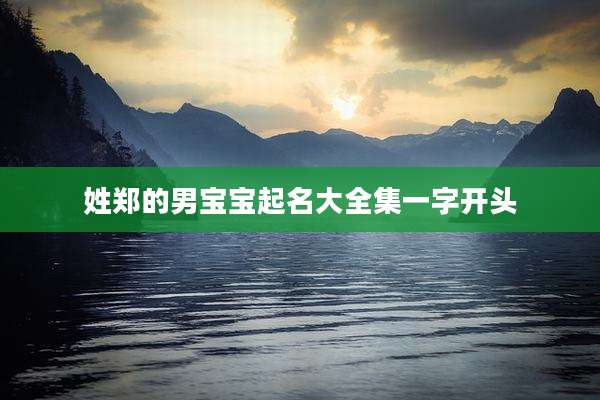 姓郑的男宝宝起名大全集一字开头