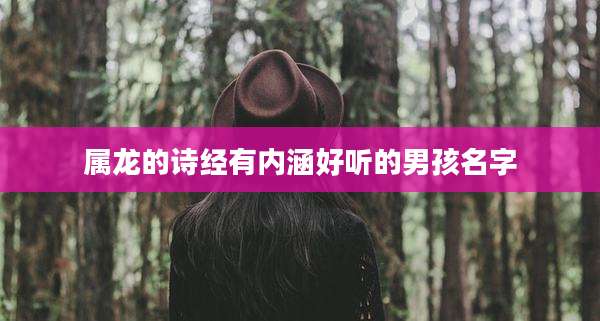 属龙的诗经有内涵好听的男孩名字