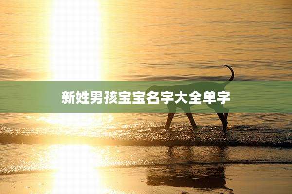新姓男孩宝宝名字大全单字