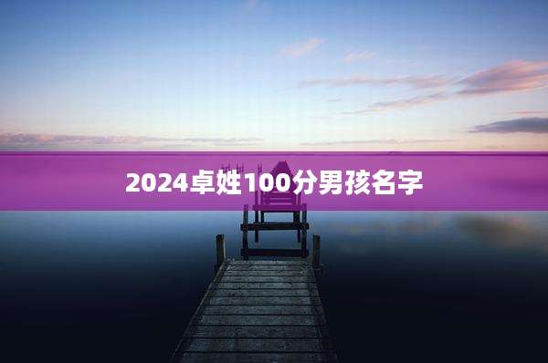 2024卓姓100分男孩名字