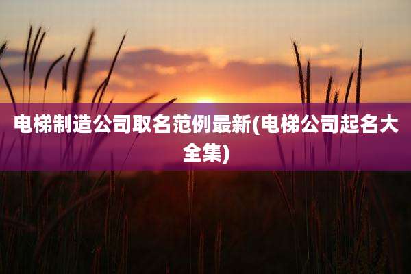 电梯制造公司取名范例最新(电梯公司起名大全集)