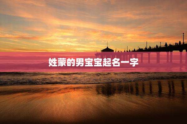 姓蒙的男宝宝起名一字