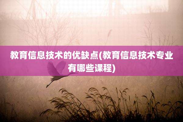教育信息技术的优缺点(教育信息技术专业有哪些课程)