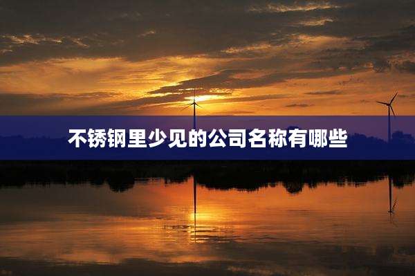 不锈钢里少见的公司名称有哪些