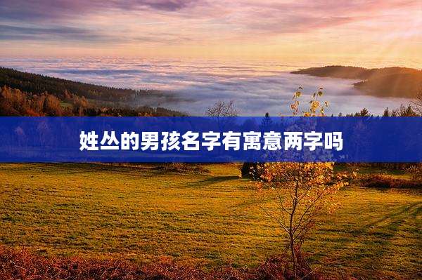 姓丛的男孩名字有寓意两字吗