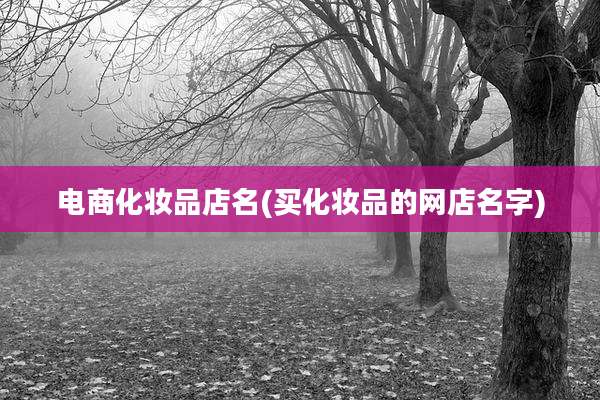 电商化妆品店名(买化妆品的网店名字)