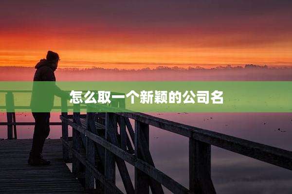 怎么取一个新颖的公司名