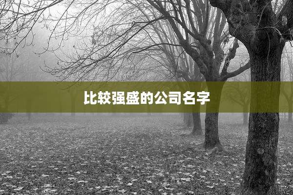 比较强盛的公司名字